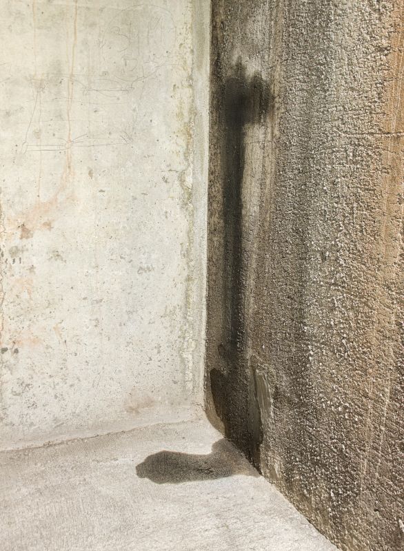 Leaking Basement Repair in Greenville, SC