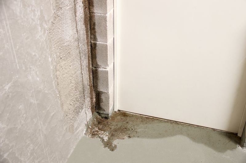 Leaking Basement Repair in Fort Wayne, IN
