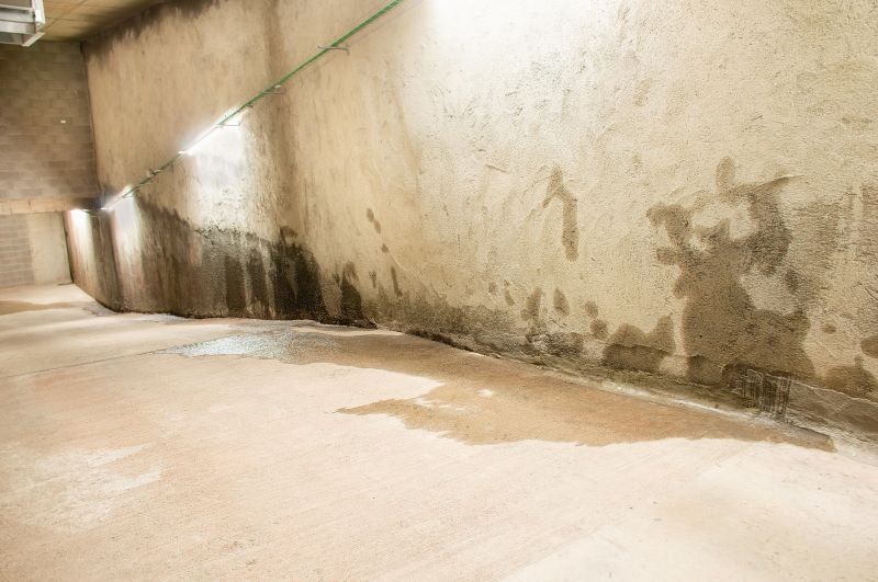 Wet Basement Repair in Montgomery, AL
